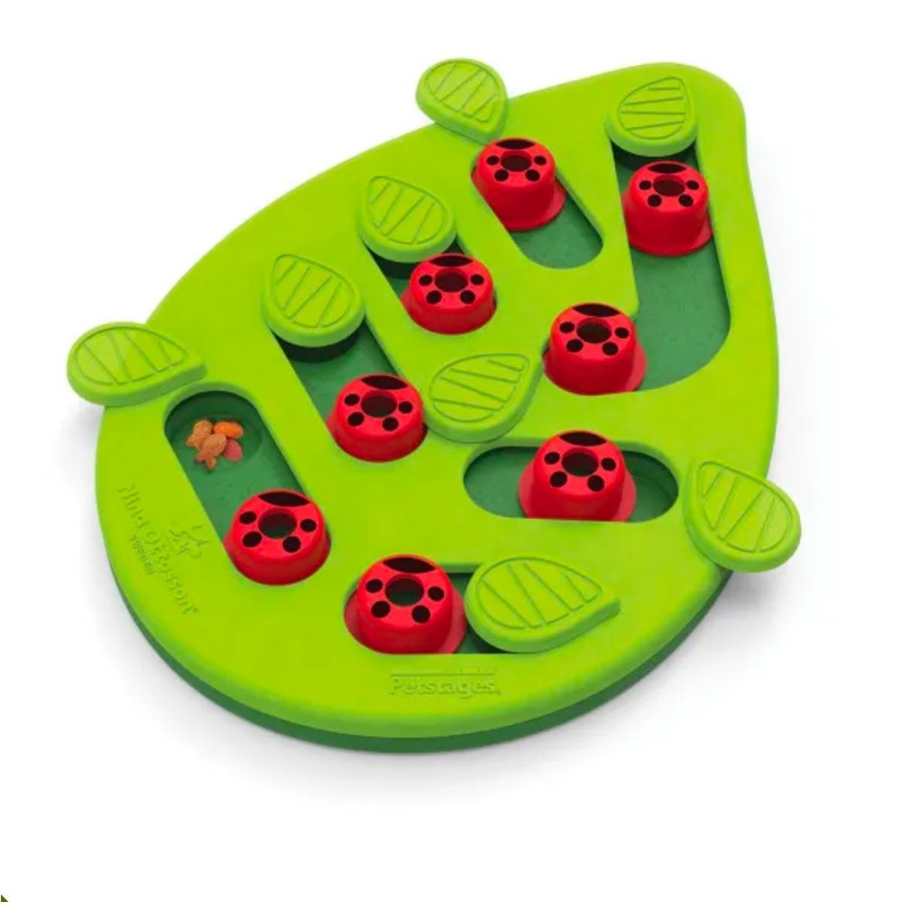 Petstages Nina Ottosson Buggin Out Puzzle & Play Cat Game